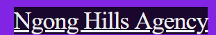Ngong Hills Agency